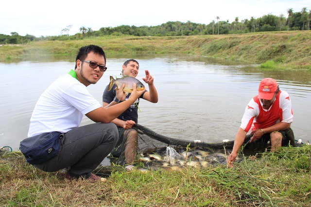 20151122本計畫替代役男方品仁協助本計畫推廣戶Cesar Barrios淡水白鯧收成(劉恒信Liu Heng-Hsin提供).JPG