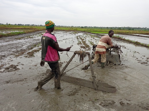 20130812-巴格雷實驗農場進行台秈2號(TS2)採種田細整地及整平工作(劉家彰 LIU,CHIA-CHANG提供).JPG