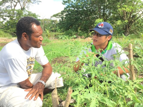 St. Martin- tomato pruning.JPG